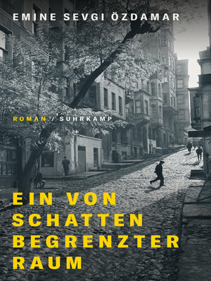 cover image of Ein von Schatten begrenzter Raum